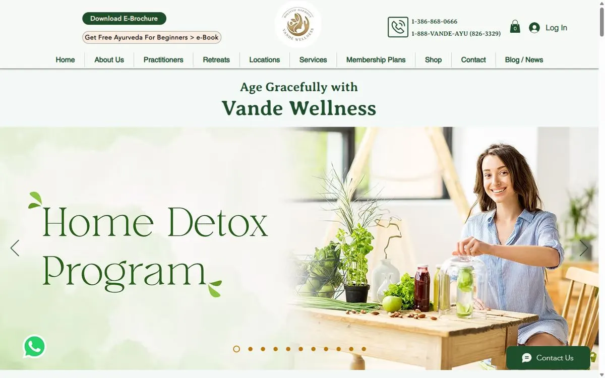 Vande Wellness homepage with the Home Detox Program banner